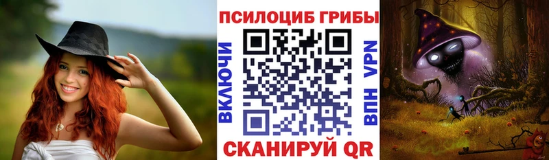Псилоцибиновые грибы мицелий  закладка  darknet Telegram  Серафимович  KRAKEN ТОР 